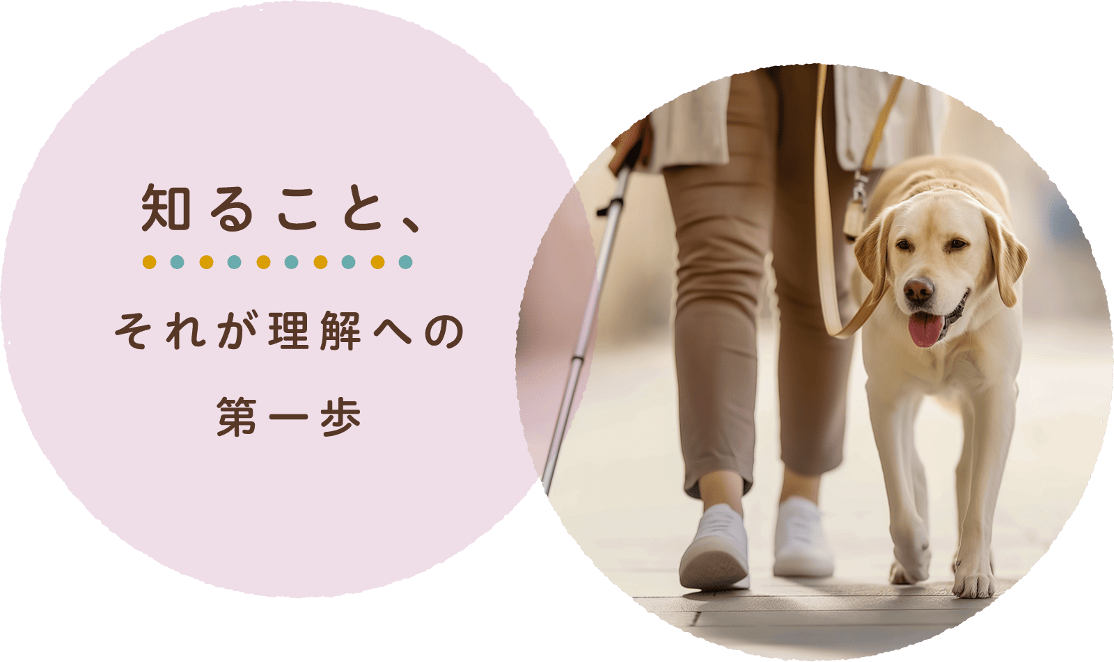 知ること、それが理解への第一歩
